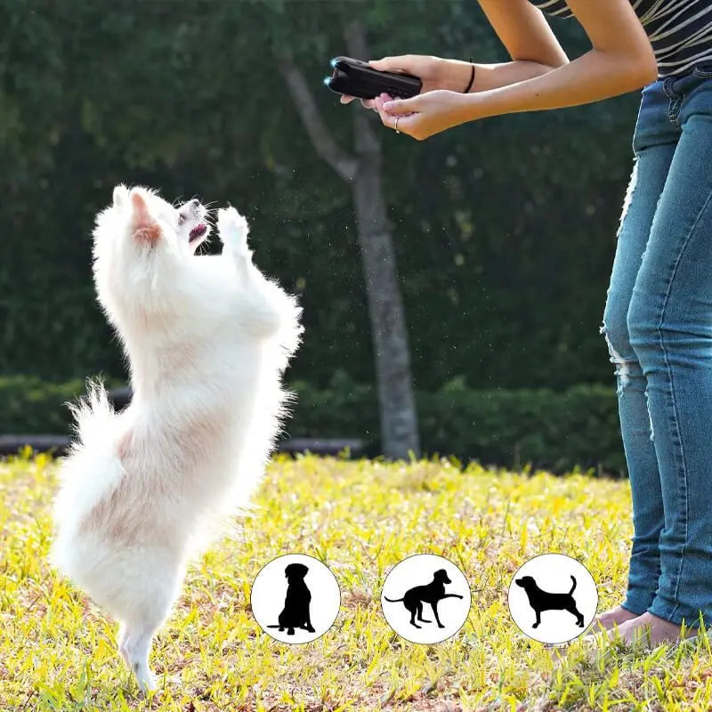 Un perro blanco corre, y una persona sostiene un dispositivo disuasorio ultrasónico cerca de él.