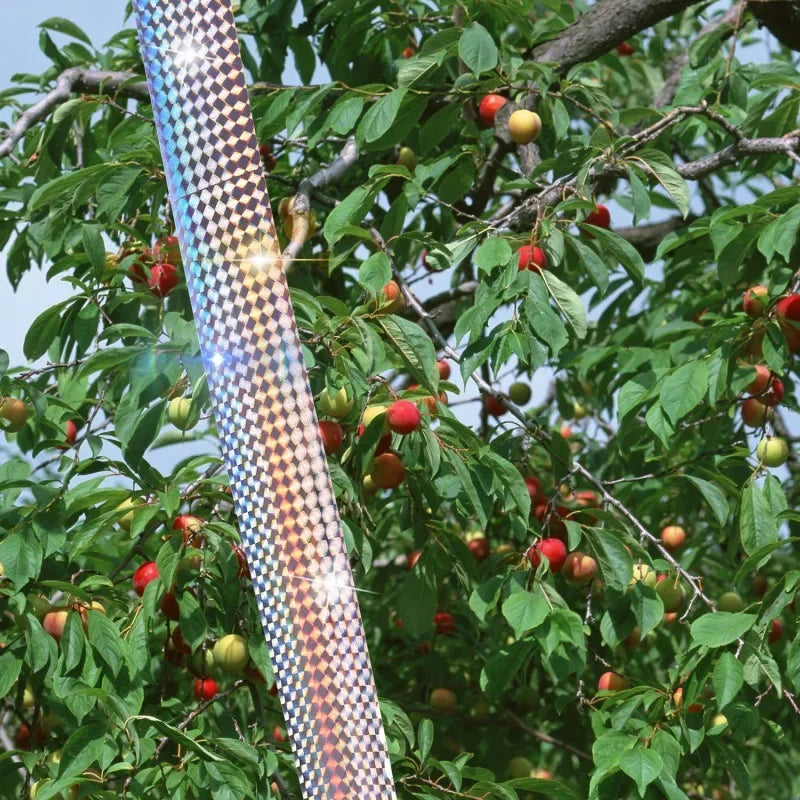 Close-up of reflective bird deterrent tape hanging from a tree branch amidst green leaves and red berries.