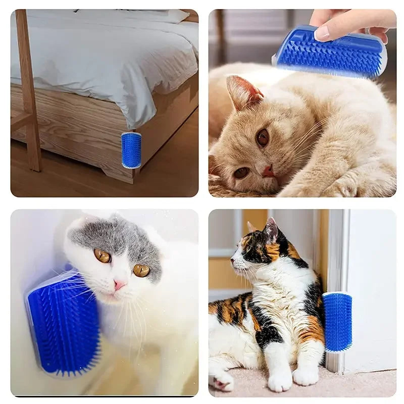 A cat is being groomed with a blue silicone corner brush and massage comb.