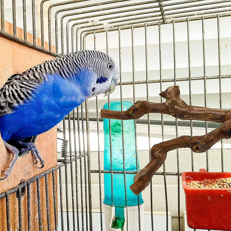 Ein blau-grauer Kakadu sitzt auf einem Drahtkäfig neben einem natürlichen Traubenzweig.