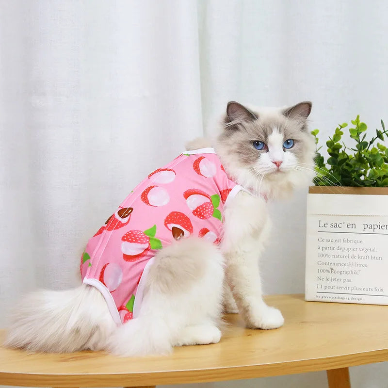 Cat Recovery Vest – Soft Anti-Licking Protector for Post-Surgery Care