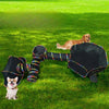 A golden dog is playing with a black multi-shape cat tunnel playhouse in a green lawn.