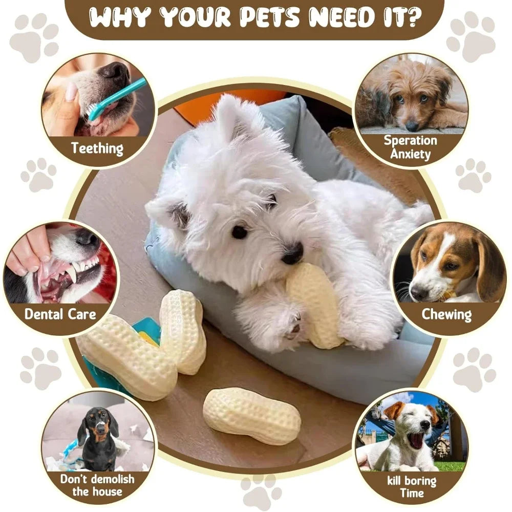 A set of two peanut-shaped squeaky dog toys for teeth cleaning and play, shown in various uses like teething and chewing.
