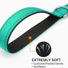 Reflective Dog Harness Collar and Leash Set (1.2-1.8m)