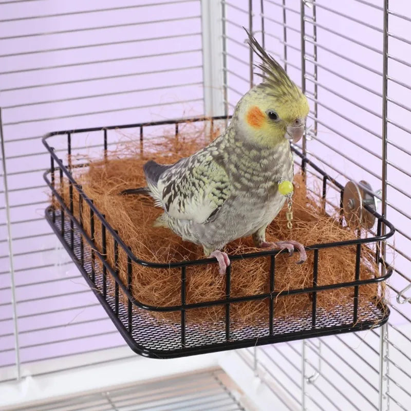 A small, speckled parrot with a spiky crest sits on a nest of hay inside a black mesh bird cage.