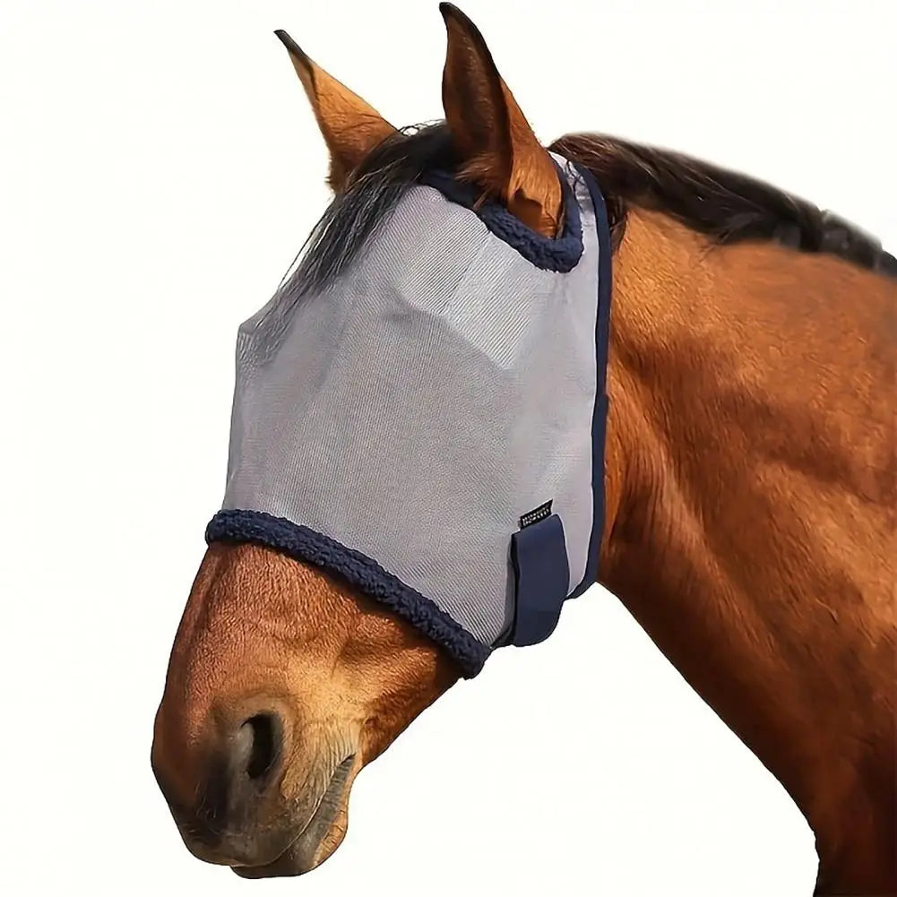 A brown horse wearing a grey fly face guard with blue trim and UV protection.
