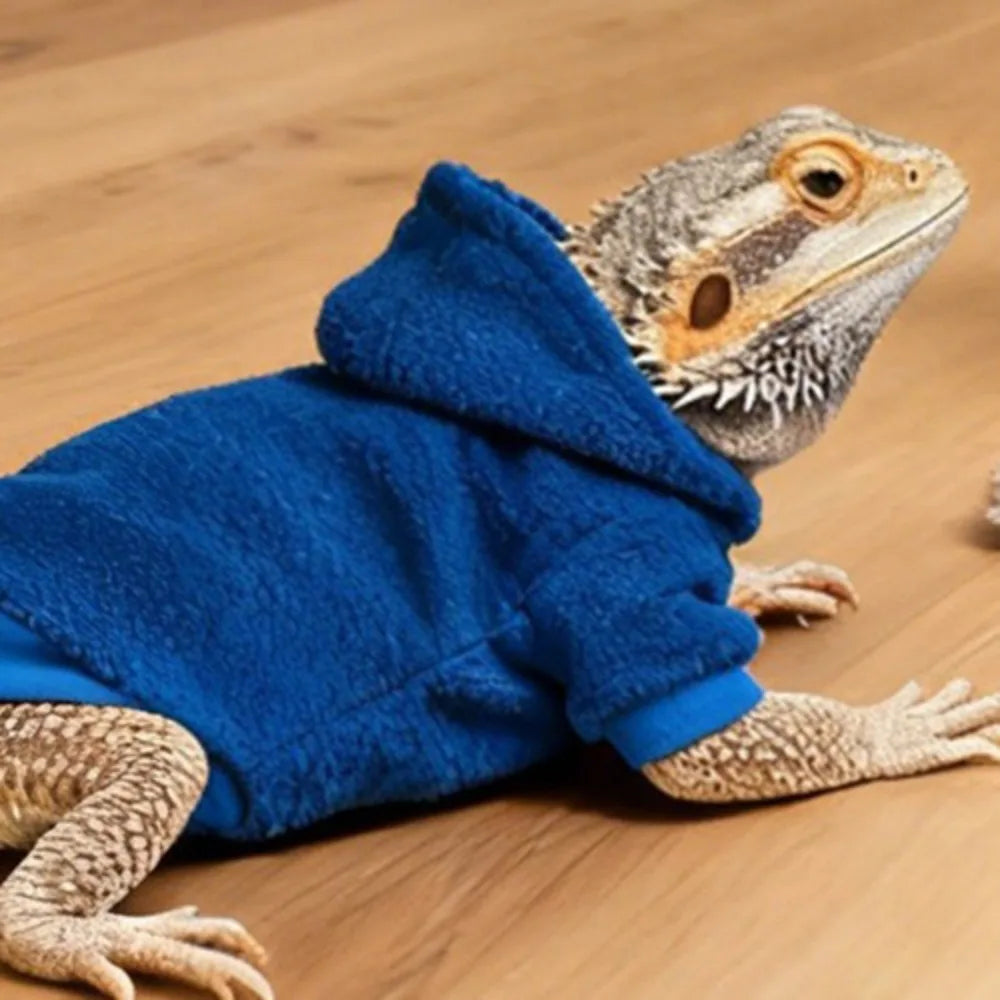 A bearded dragon is wearing a blue hooded costume lying on a wooden surface.