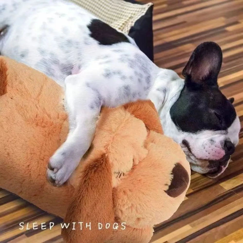 Ein schwarz-weißes Hund liegt auf einem großen, braunen Plüschtier.