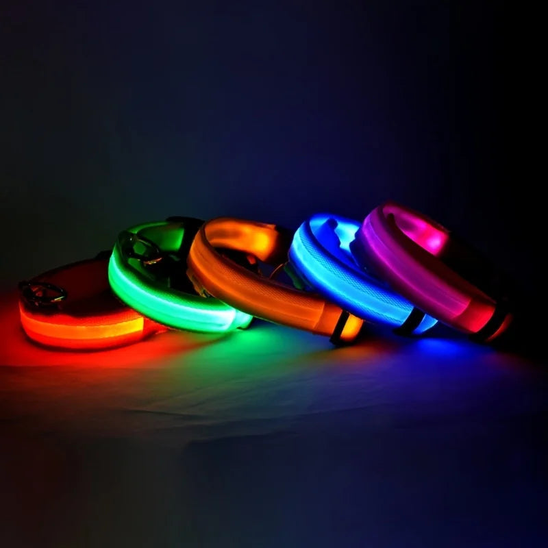 LED-Sicherheits-Hundeleine und Halsband-Set