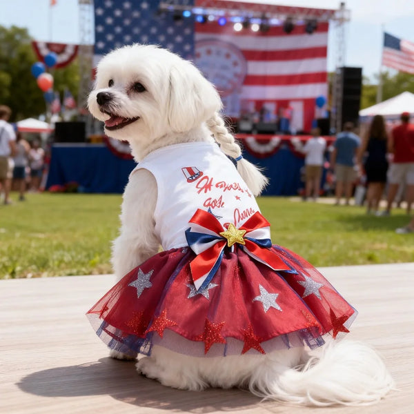 A white dog wearing a patriotic mesh dress with red and blue accents sitting on a wooden surface.