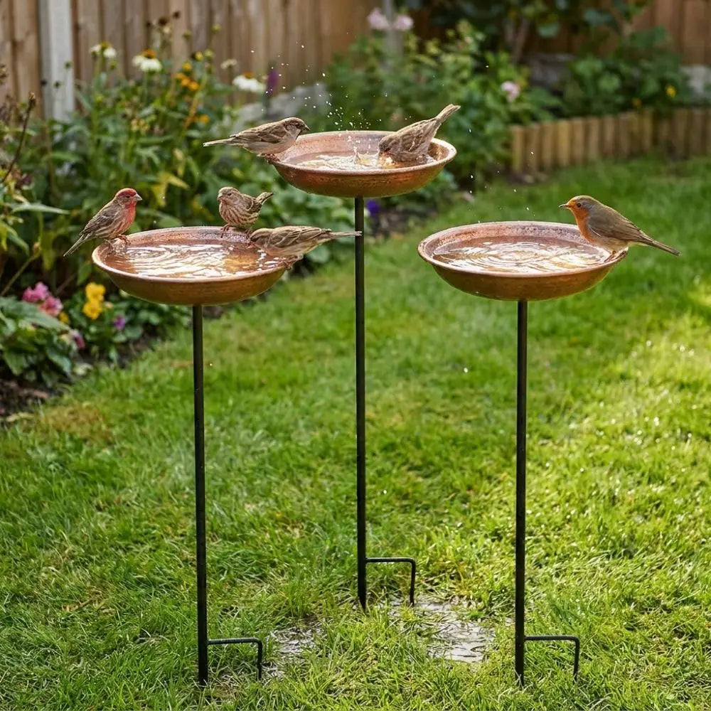 Rustic Iron Bird Feeder with Wide-Mouth Water Basin