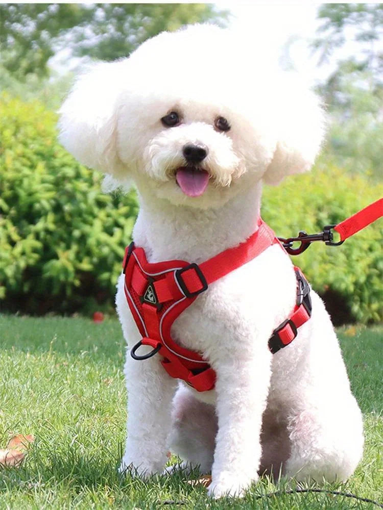 Adjustable No-Pull Dog Harness with Reflective Leash Set