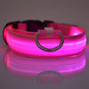 LED-Sicherheits-Hundeleine und Halsband-Set