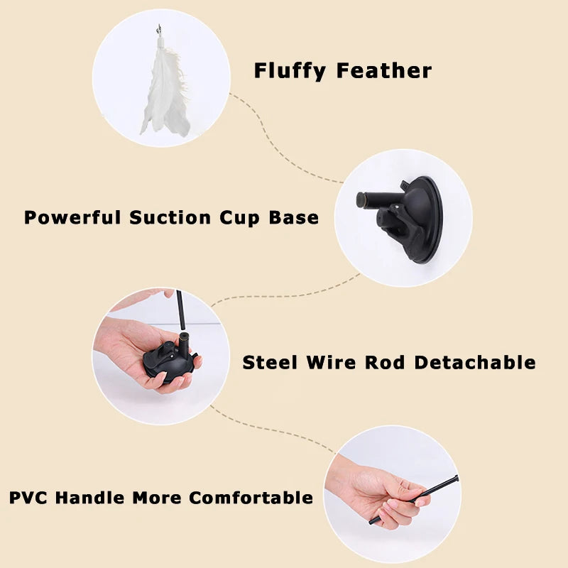 A feather wand cat toy featuring a fluffy feather, suction cup base, detachable steel wire rod, and a PVC handle.