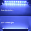 Lampe LED à clipser pour aquarium, fine et élégante