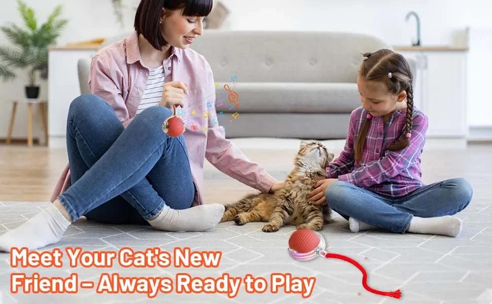 Automatic Interactive Rolling Cat Toy with Bird Sounds