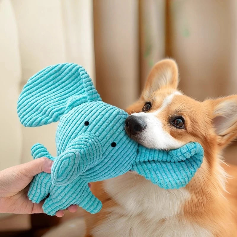 A hand holds a teal elephant plush toy for dogs next to an orange and white dog.