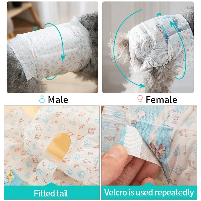 Reusable sanitary diapers for dogs shown on male and female pets with fitted tails and Velcro usage