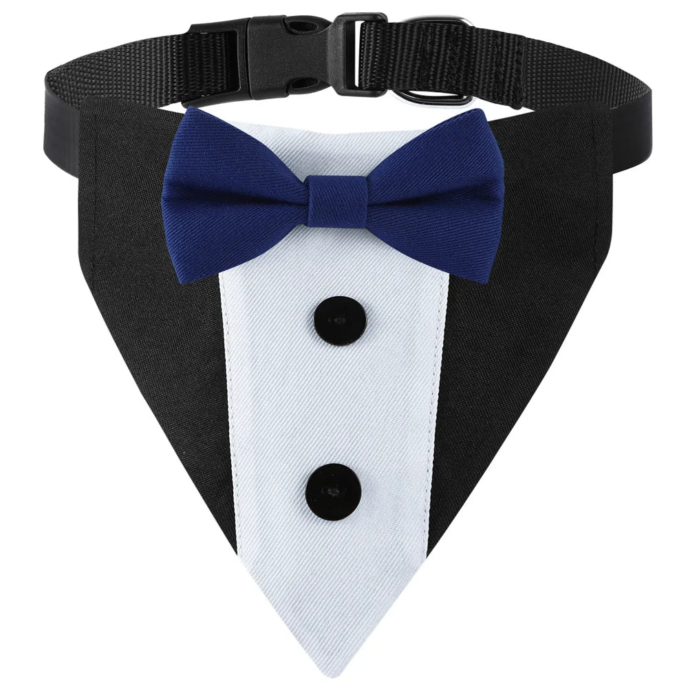 Black and white pet wedding collar featuring a navy blue bow tie bandana