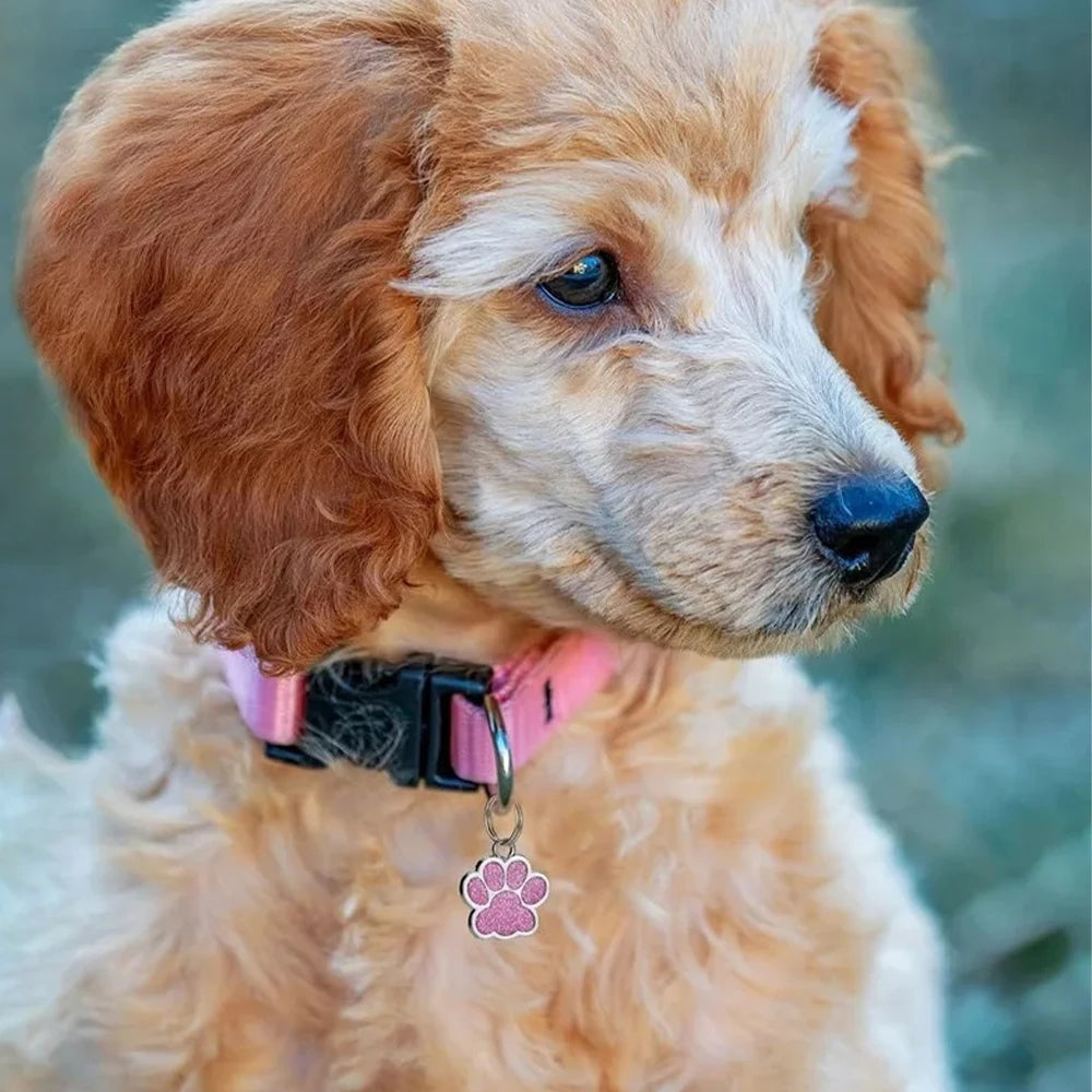 Personalized Engraved Pet ID Tag with Glitter Finish
