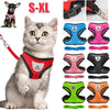 Verstellbares Mesh-Hundegeschirr und Leinen-Set