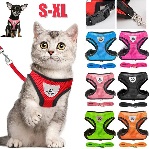 Verstellbares Mesh-Hundegeschirr und Leinen-Set