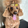 Bone-Shaped Pet Hair Clips for Dogs and Cats
