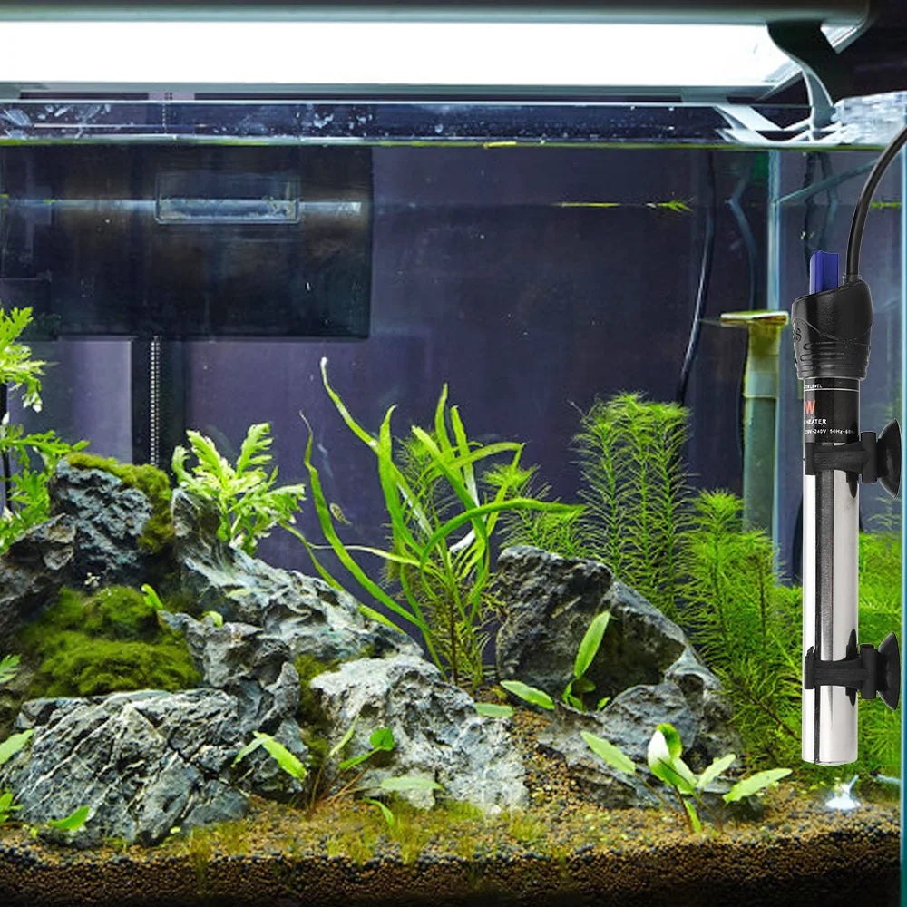 Un chauffage pour aquarium submersible réglable avec diverses plantes aquatiques et roches dans un aquarium en verre.