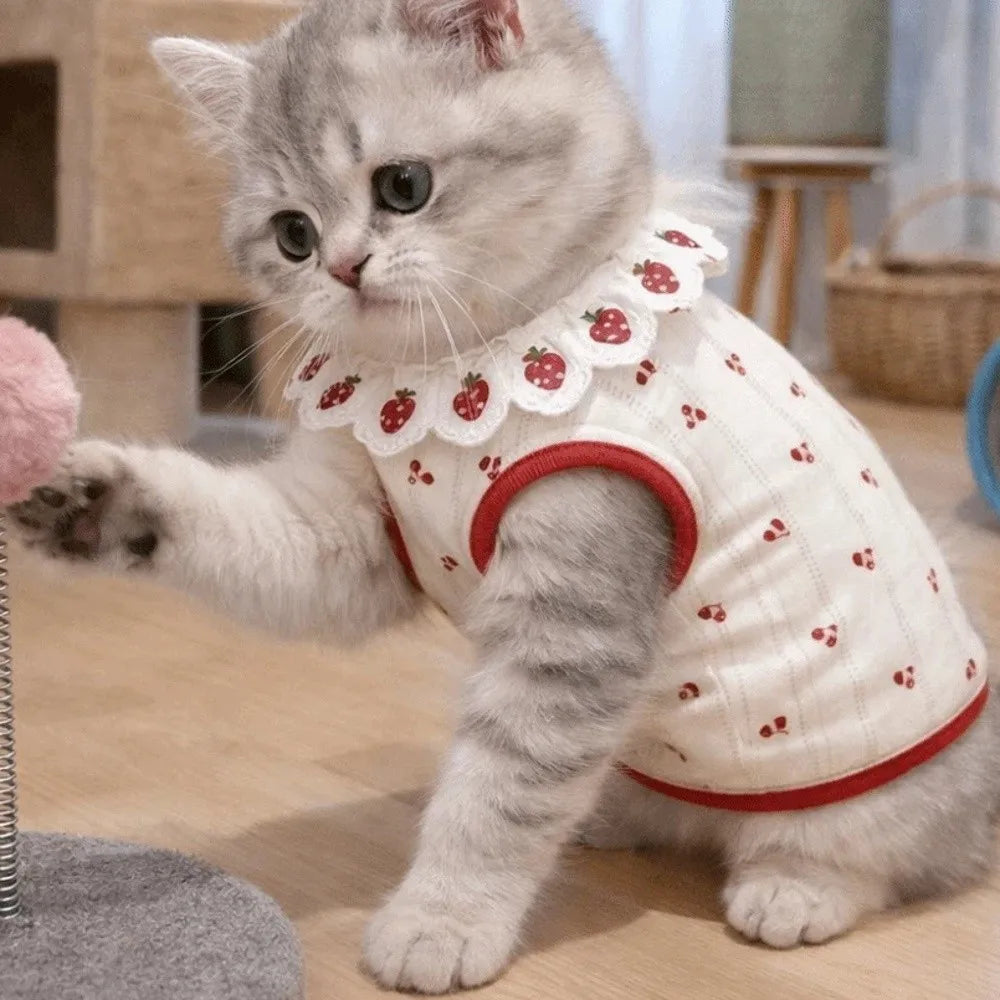 Ruffled Collar Cat Strawberry Vest with Cherry Pattern