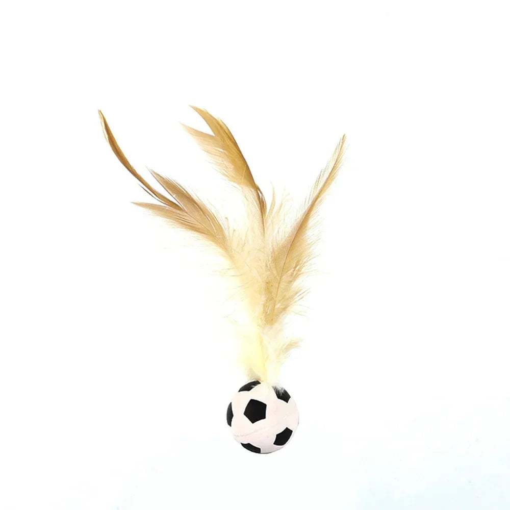 Eine helle braune Federpenne liegt über einem schwarz-weißen Fußball.