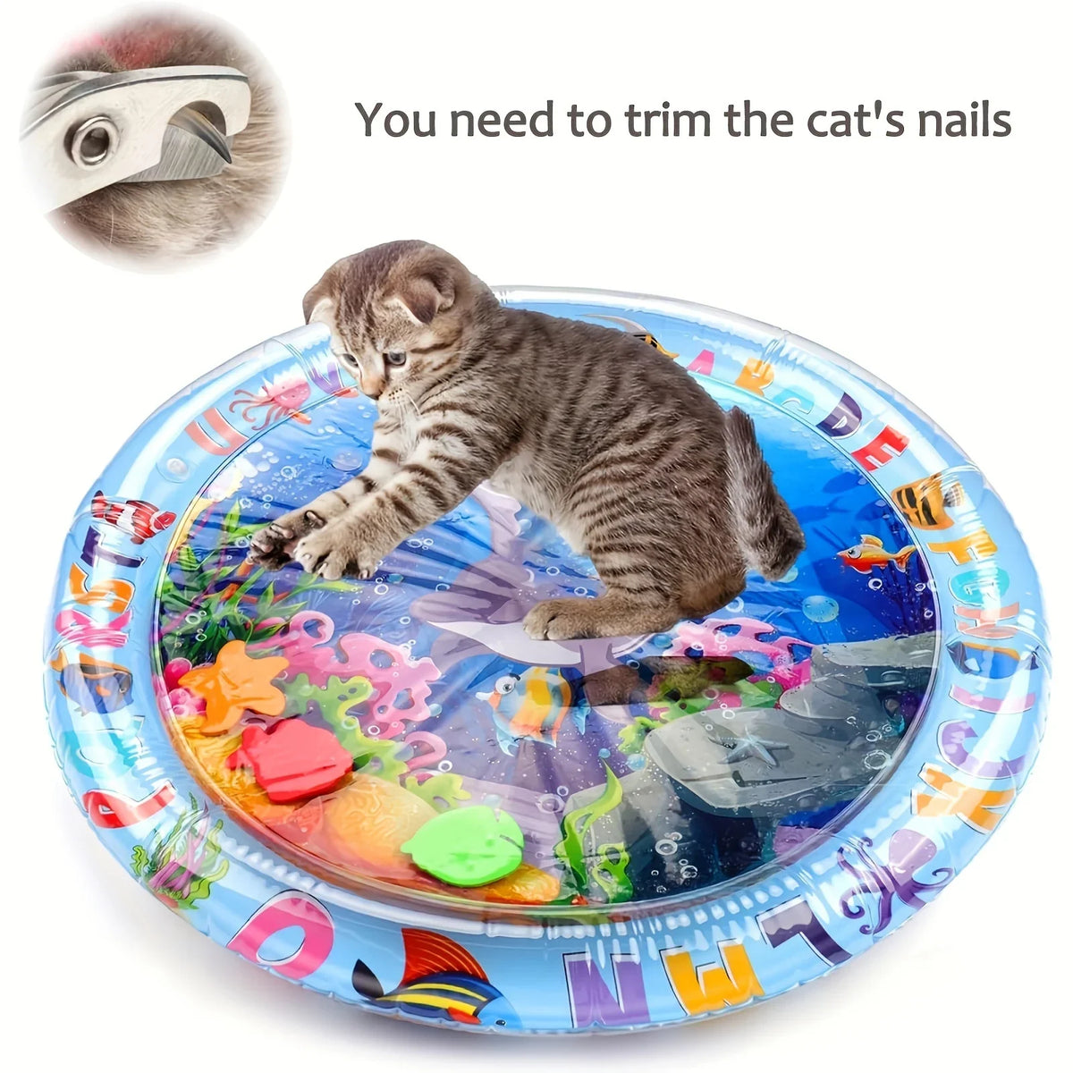 Eine tabby-Kitten liegt auf einer blauen sensorischen Matte mit bunten Plastikspielzeugen, die Nagelhautpflege benötigen.