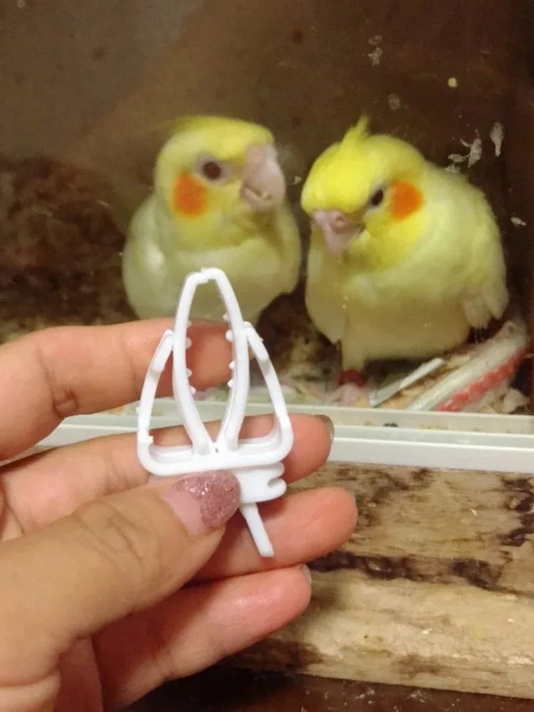 مشبك حافظة طعام للطيور الصغيرة والببغاوات