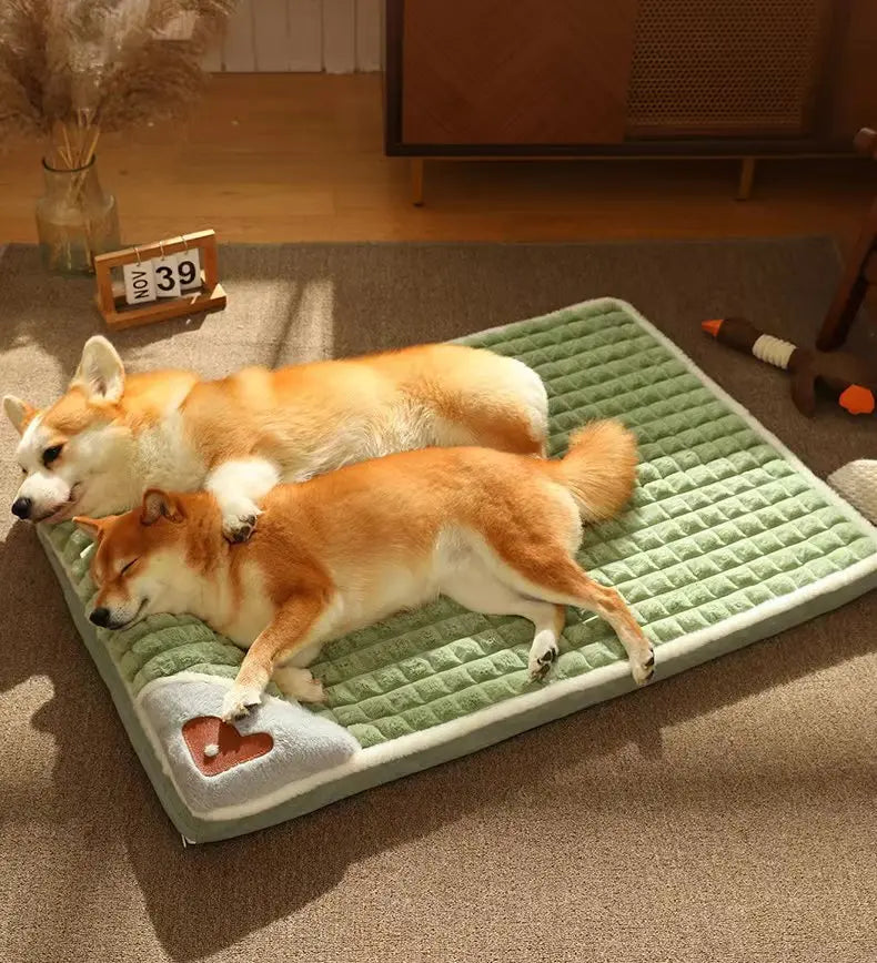 Orthopedic Memory Foam Dog Bed with Removable Washable Cover