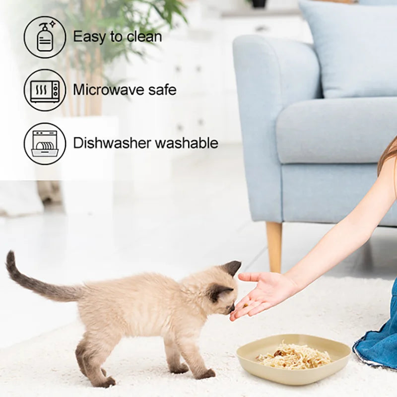 A small tan kitten stands next to a shallow bowl on a white floor, with a person's hand reaching toward the kitten.