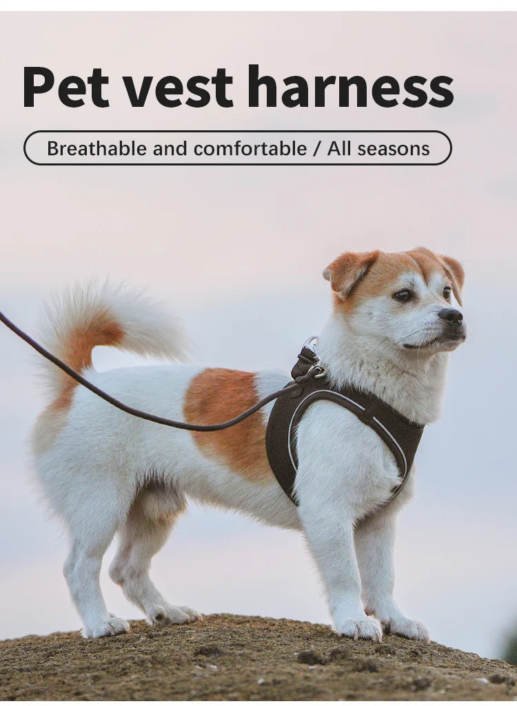 Reflektierendes Geschirr- und Leinen-Set für Hunde