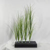 Three stalks of green onion grass used as a garden decoration displayed on a dark pedestal.