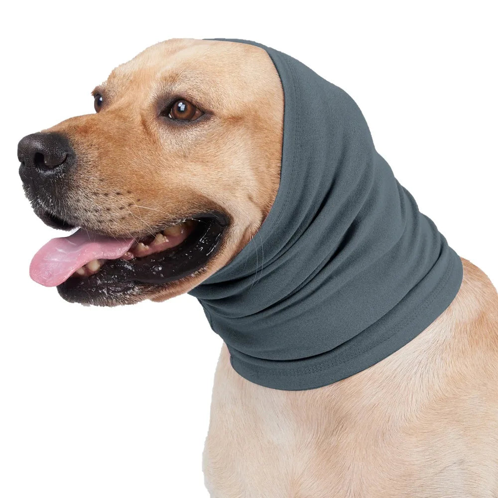 Ein hellbrauer Hund trägt eine graue Entspannungs-Ohrschutz-Mütze auf dem Kopf.