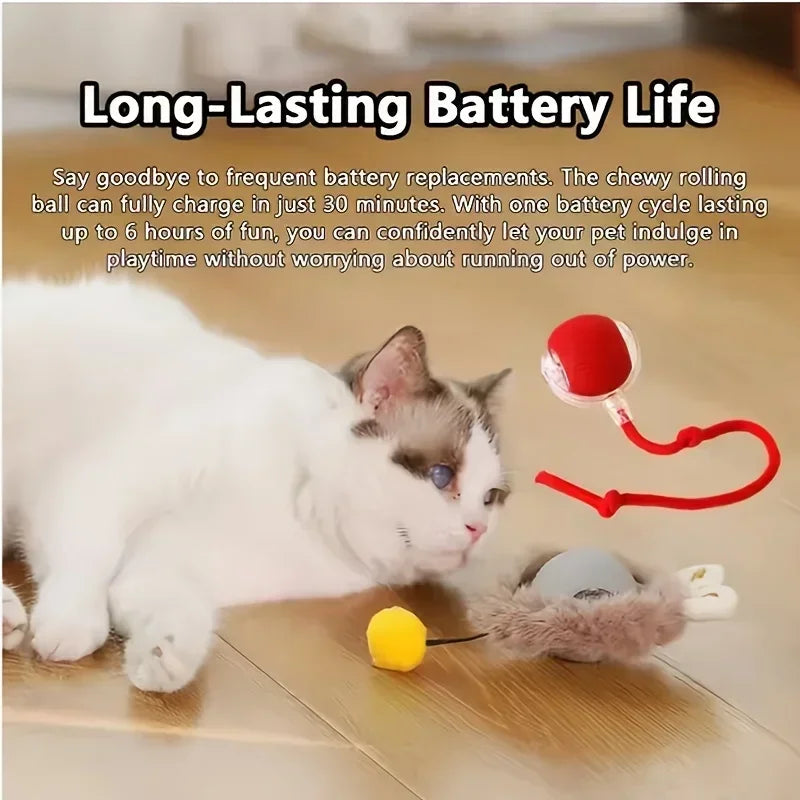 A white cat is playing with a red toy ball and a yellow chew toy on a wooden floor.