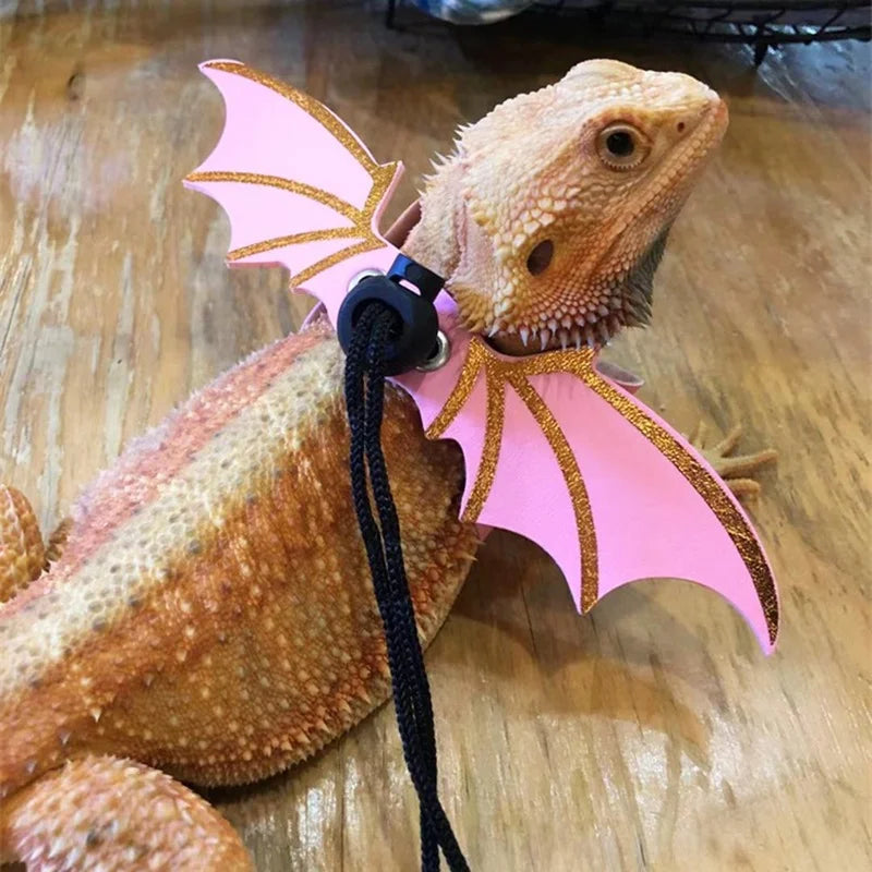 A bearded dragon wearing a pink harness with gold bat wings on a wooden surface.