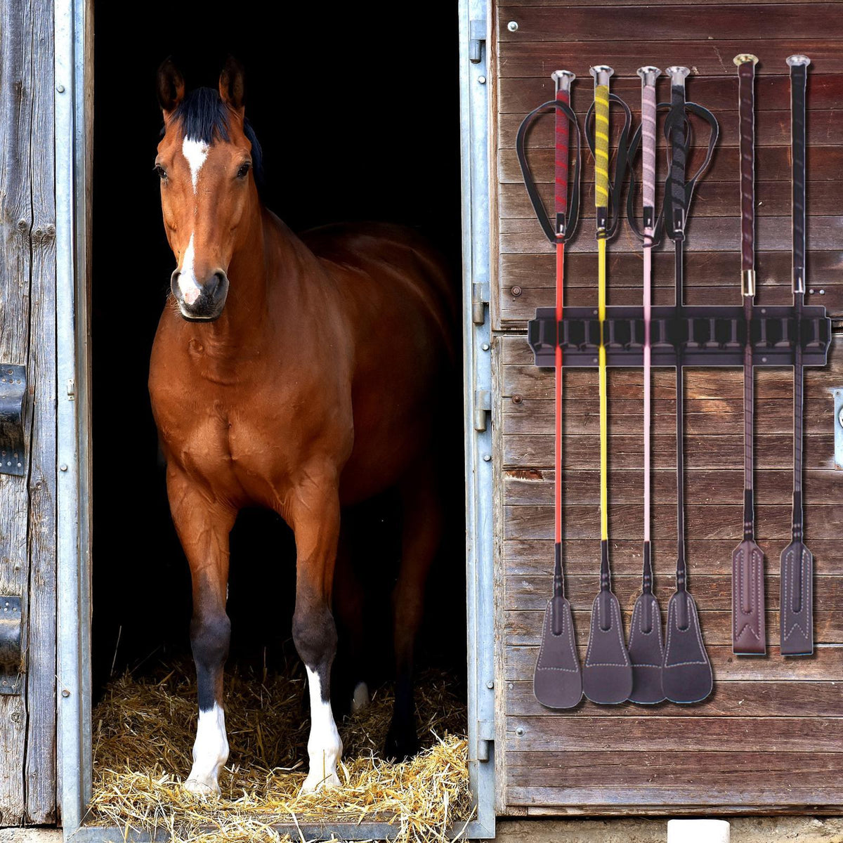 A brown horse is visible through a wooden frame, standing in front of a wall-mounted whip organizer rack.