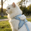 Un gato blanco vistiendo un arnés azul claro caminando al aire libre en un parque.