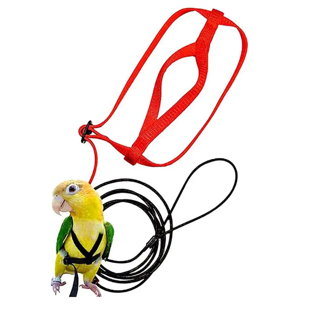 A yellow bird is attached to an orange harness and a black flight leash.