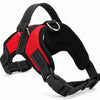 A black and red breathable nylon dog harness with adjustable straps and quick-release buckles.