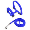 Adjustable Nylon Harness and Leash Set for Small Pets