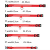 USB Rechargeable Luminous Collar for Dogs and Cats