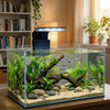 Waterproof LED Aquarium Clip Light with 3 Color Modes
