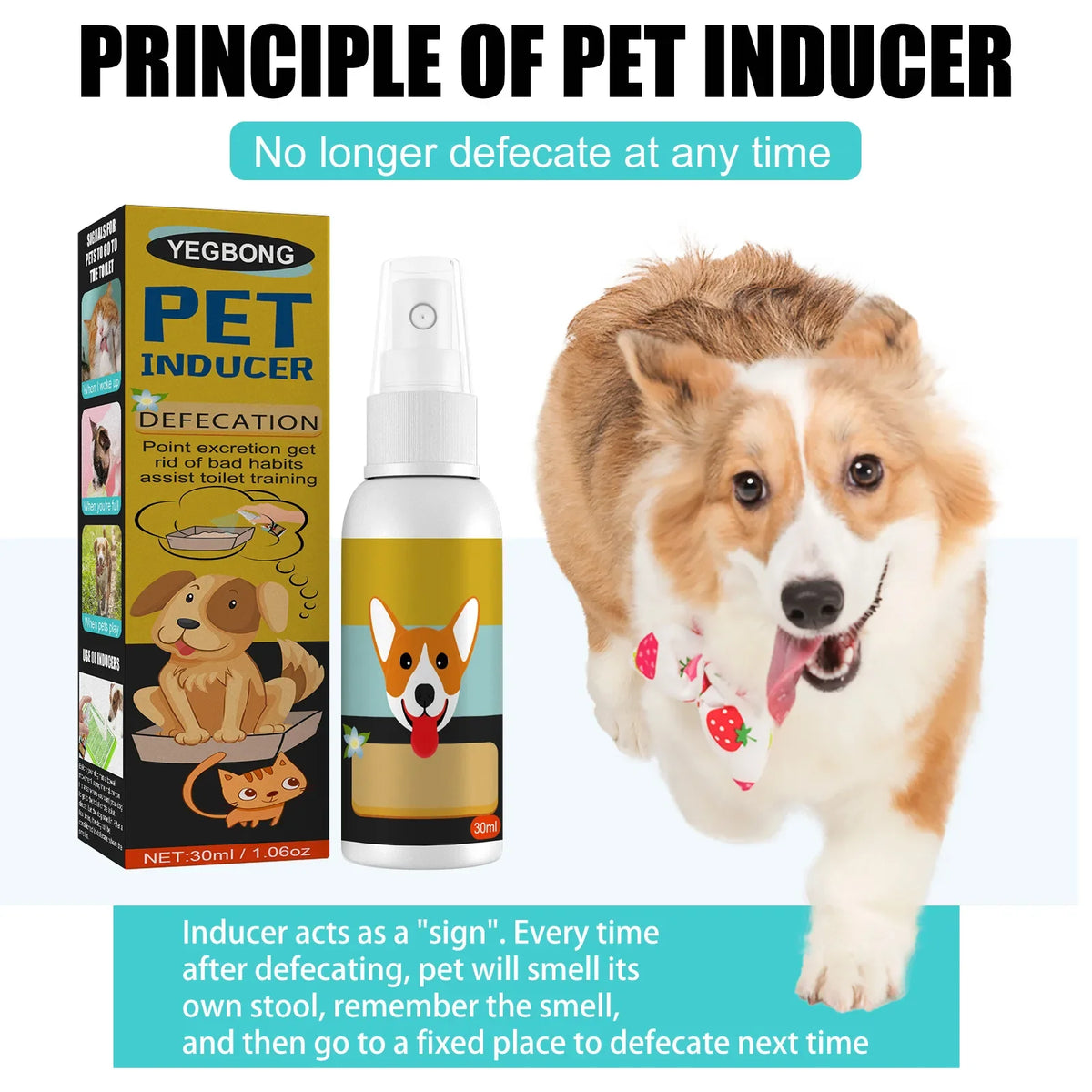 Pet Potty Training Spray for Dogs and Cats