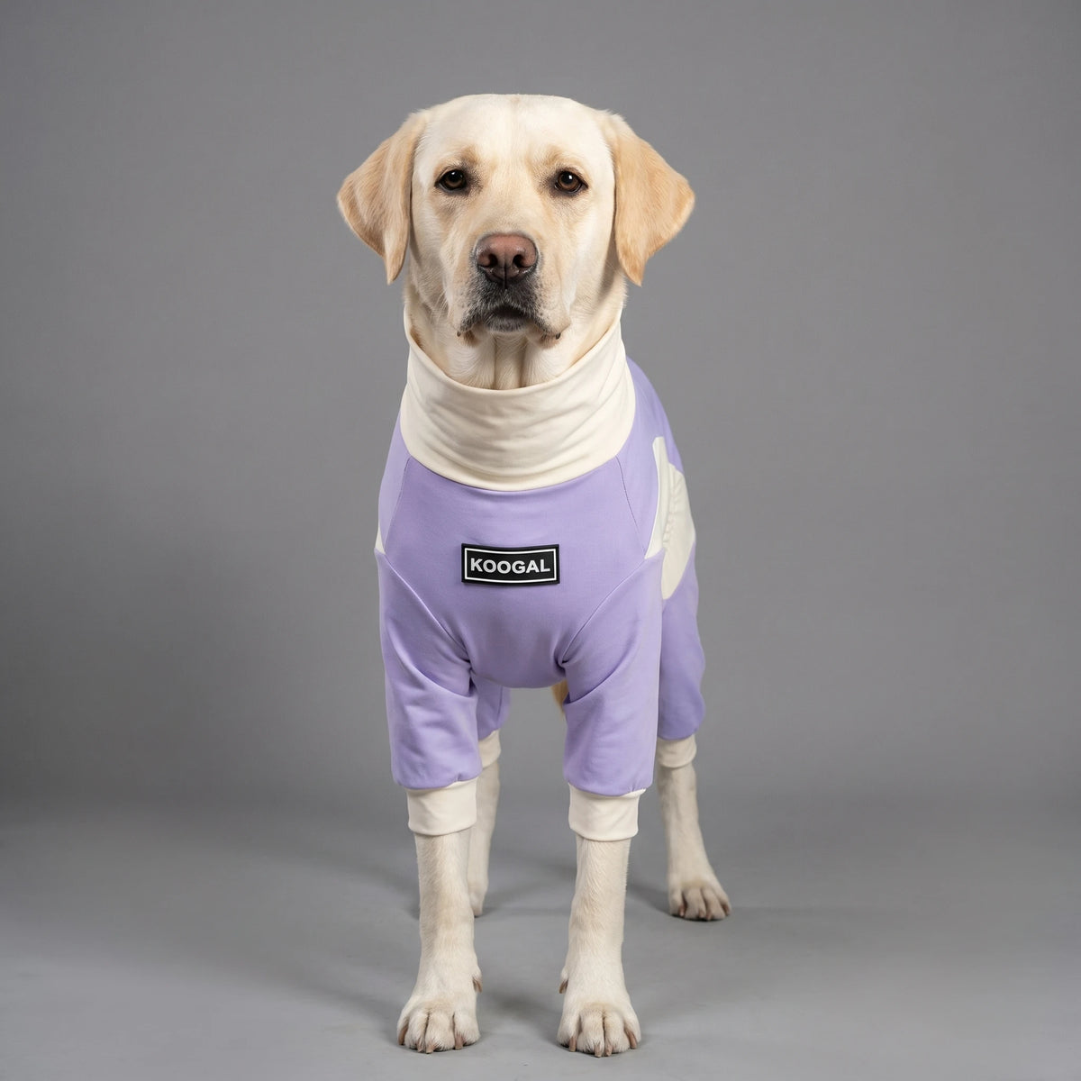Pet Cooling Full-Body Suit for Summer Heat Relief