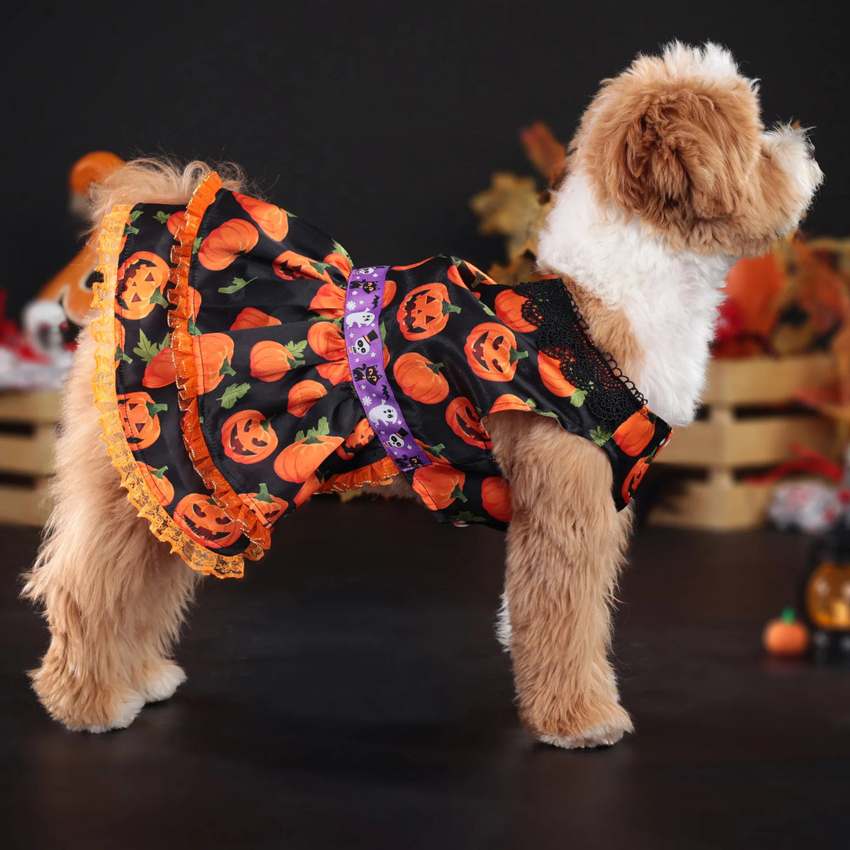 Pumpkin Lace Dog Dress for Small Dogs