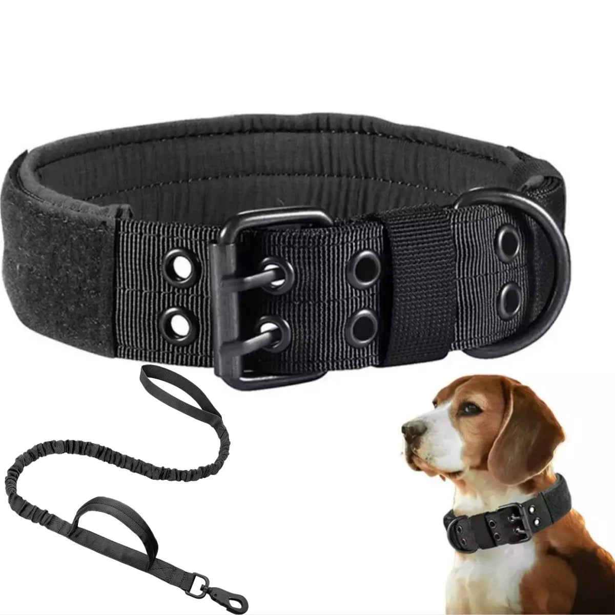 Black heavy-duty tactical dog collar with padded comfort and leash